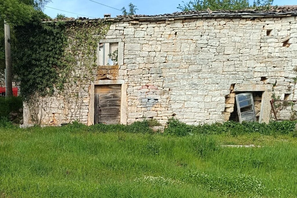 Image 6355307 - 1