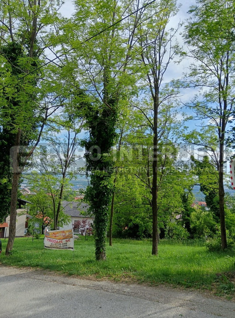 Image 6355469 - 5