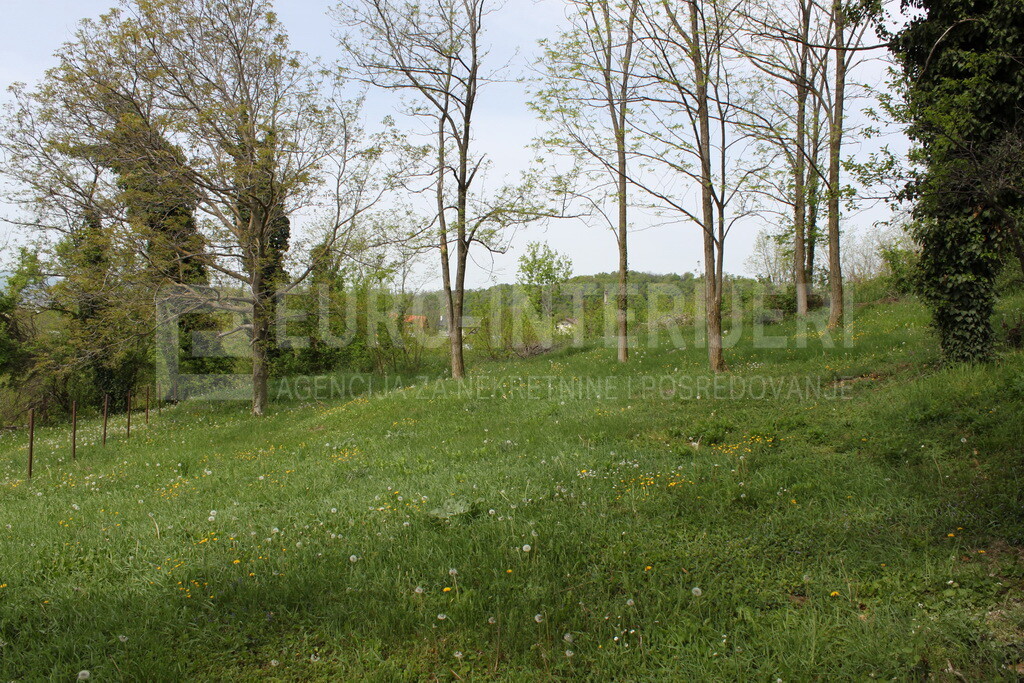 Image 6355469 - 4