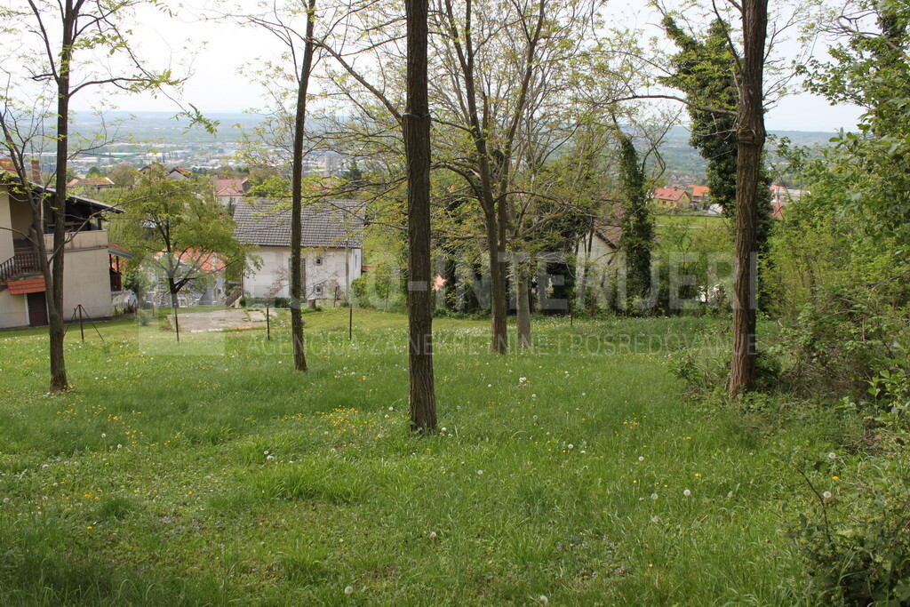 Image 6355469 - 1