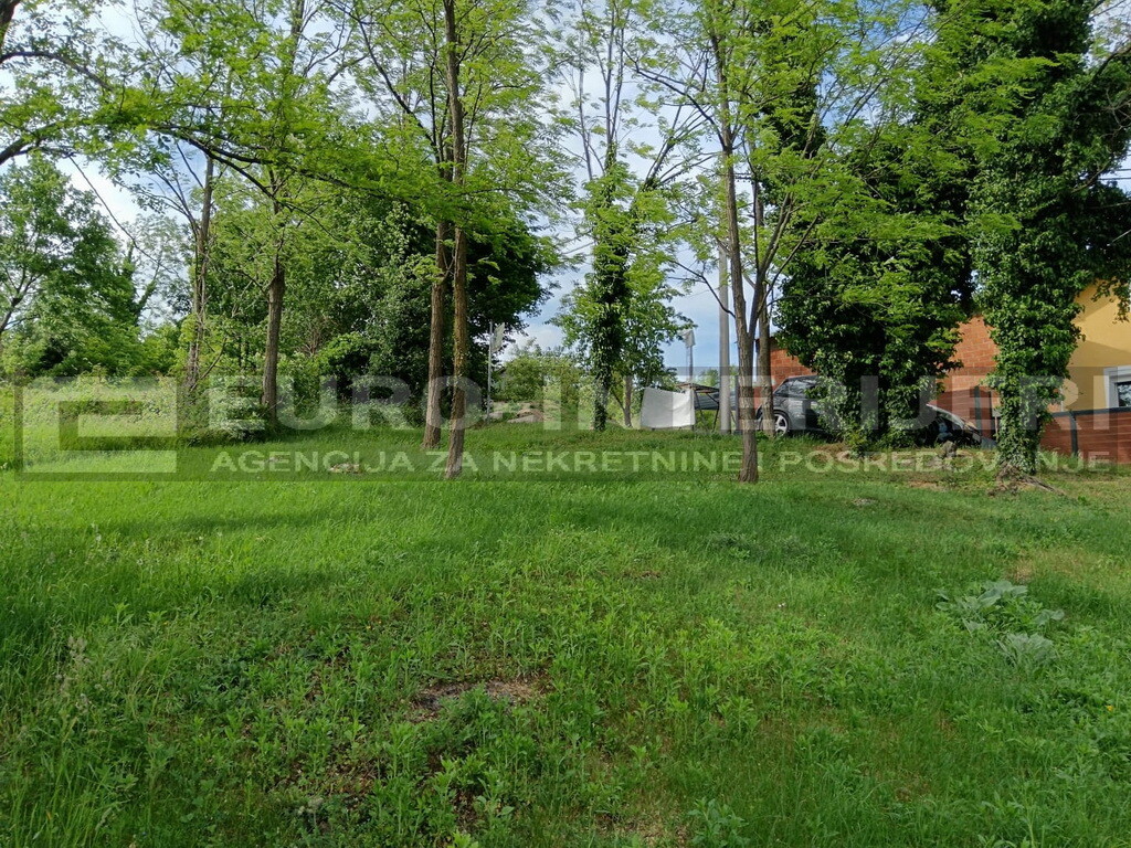 Image 6355469 - 6