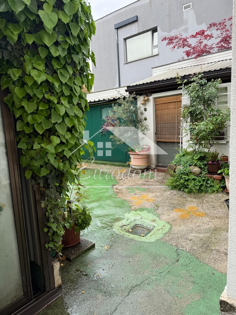 Image 6355552 - 10