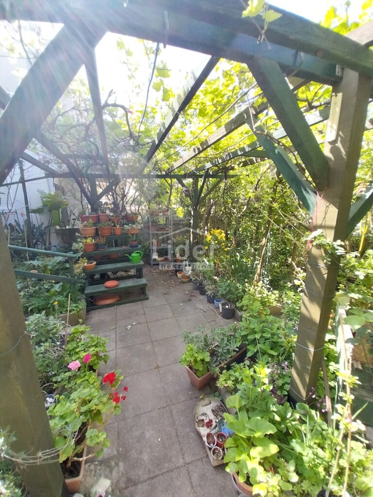 Image 6355778 - 11