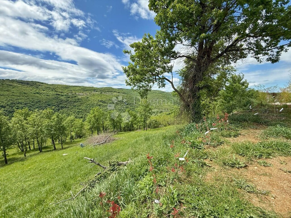Image 6355784 - 4
