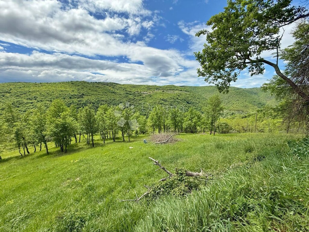 Image 6355784 - 3