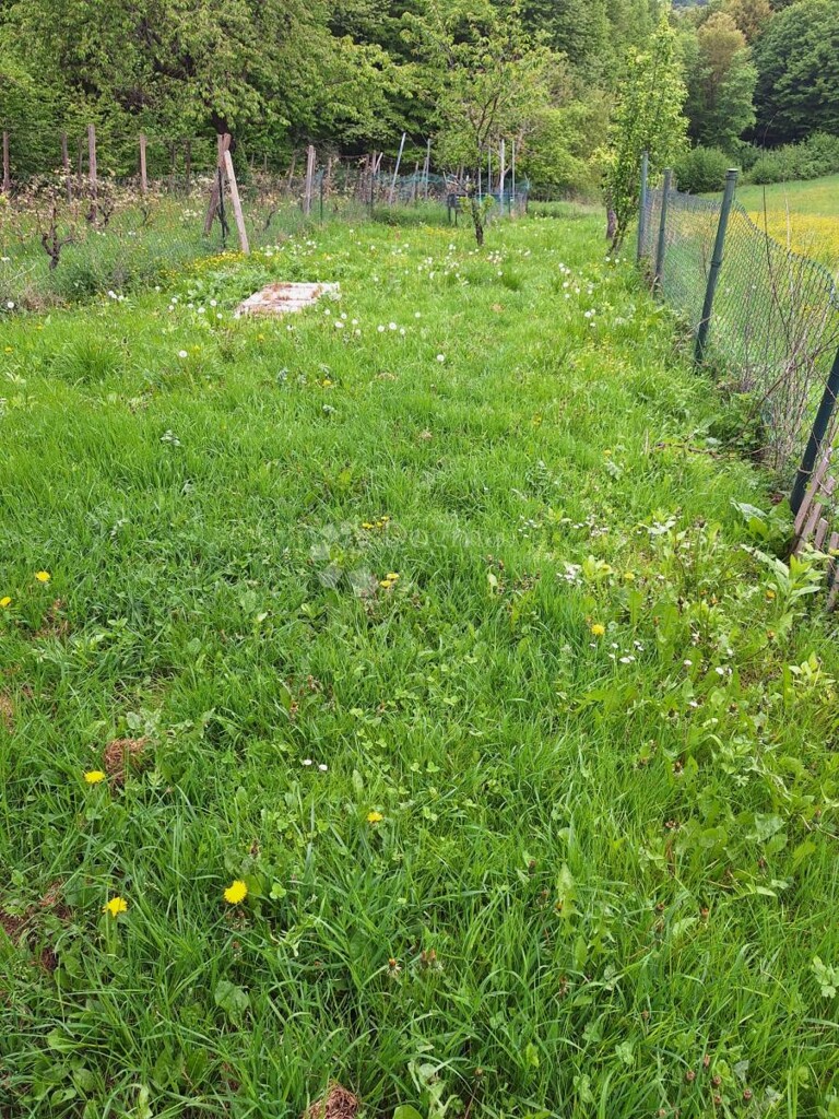 Image 6355786 - 2