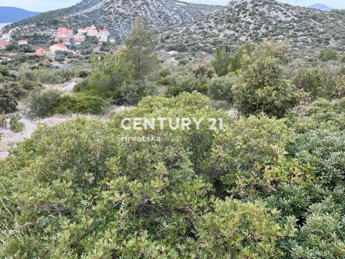 Thumbnail 6355875 - 5