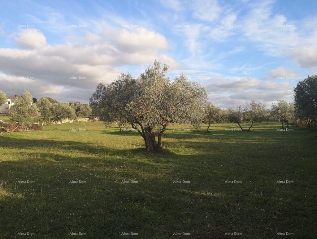 Image 6355904 - 3