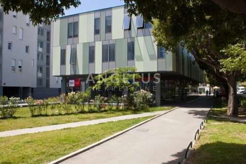 Thumbnail 6355910 - 4