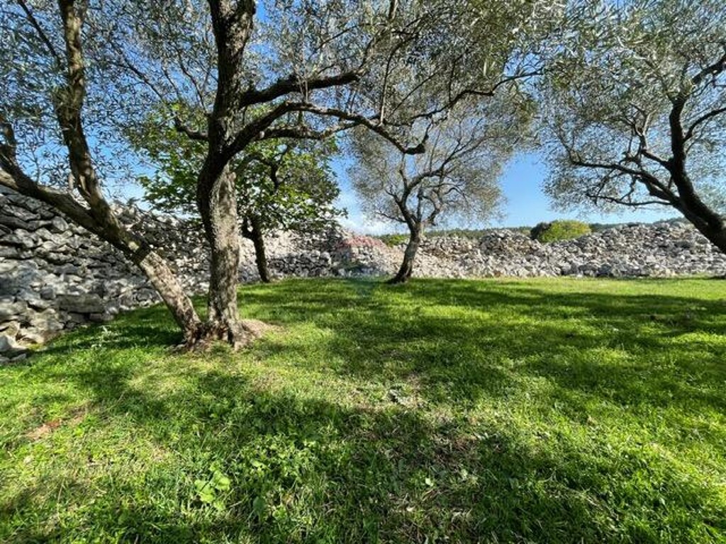 Image 6355987 - 7
