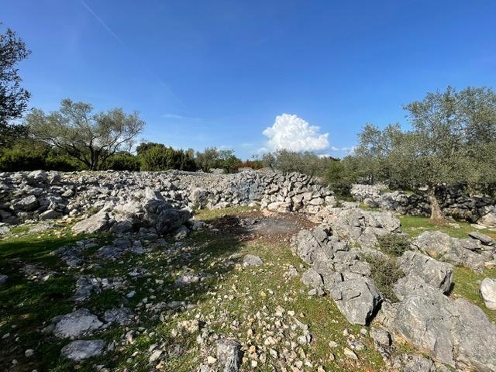 Image 6355987 - 17
