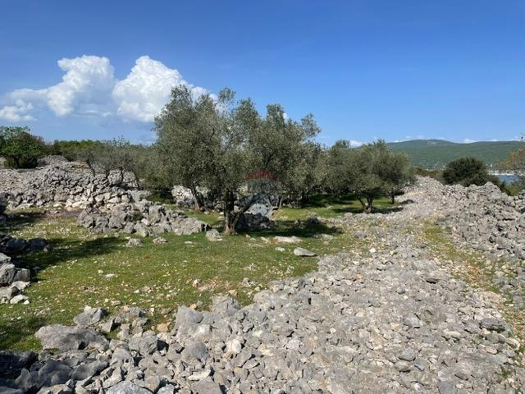 Image 6355987 - 13