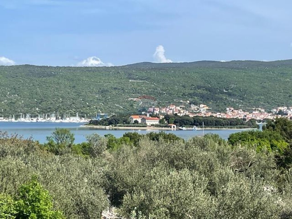 Image 6355987 - 1