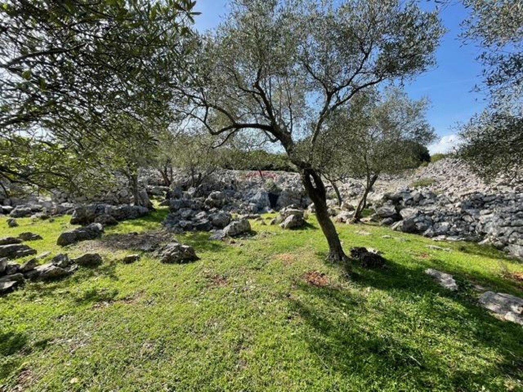 Image 6355987 - 9