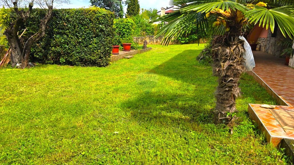 Image 6355988 - 22