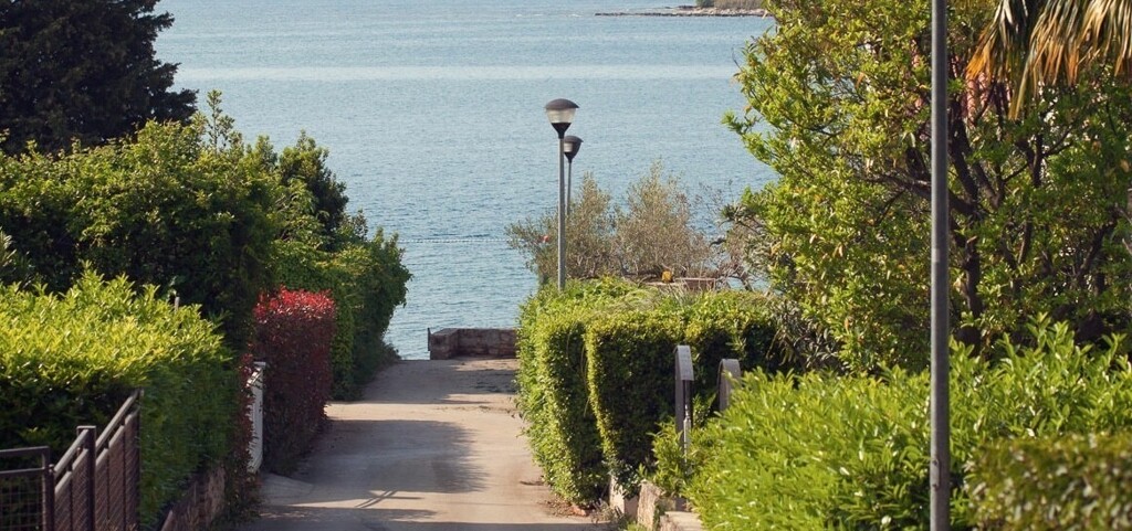 Image 6356016 - 2