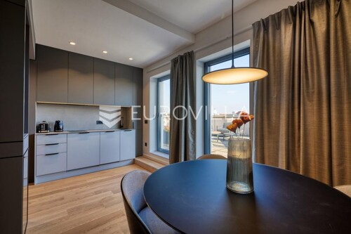 Zagreb, centar, dvosoban penthouse 42m2 s terasom 175 m2