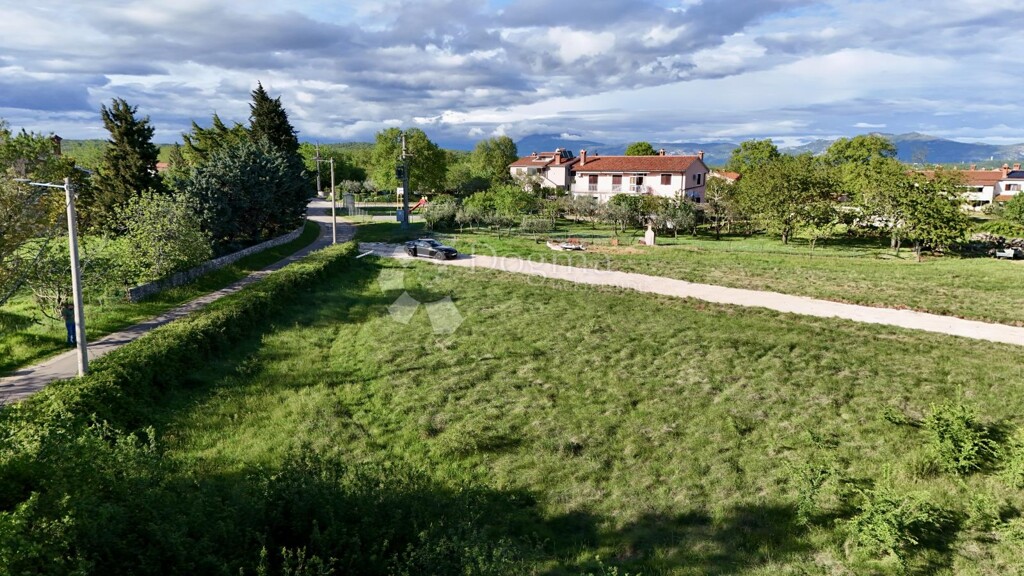 Image 6356242 - 5