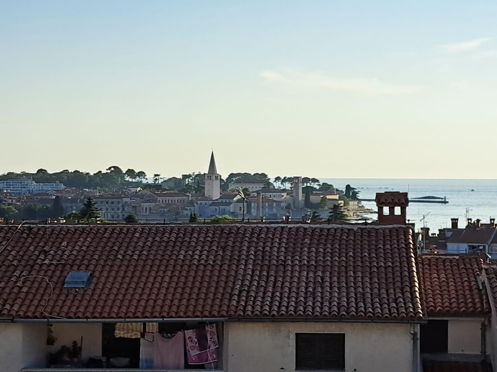 Image 6356302 - 12