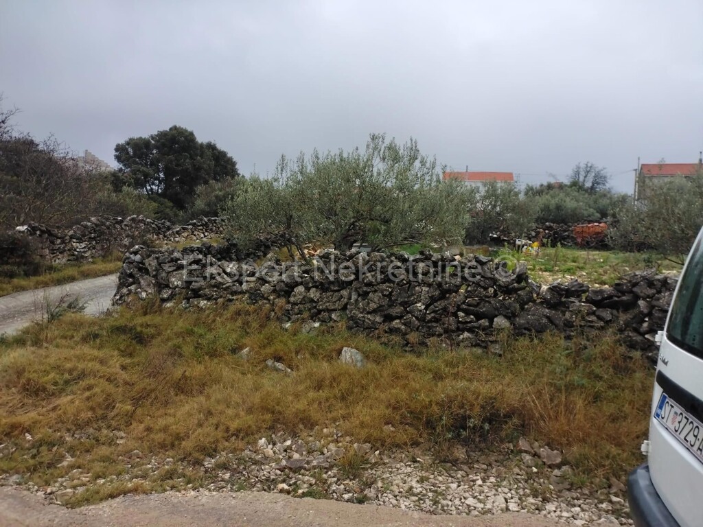 Image 6356316 - 1
