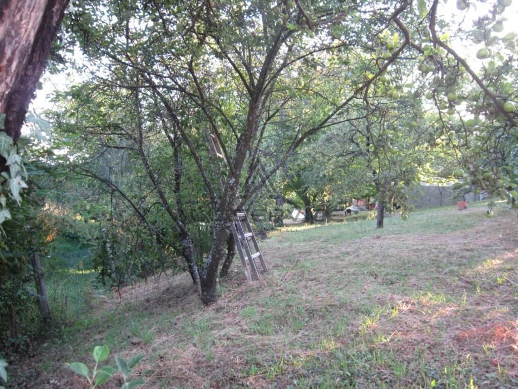 Image 6356325 - 3