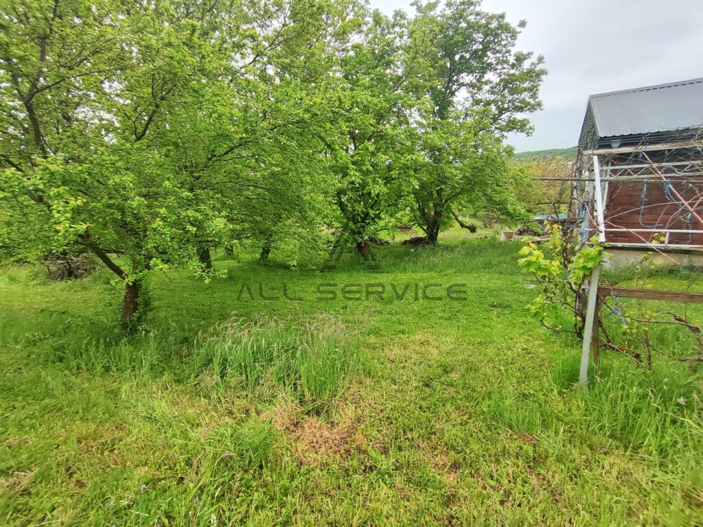 Image 6356326 - 2