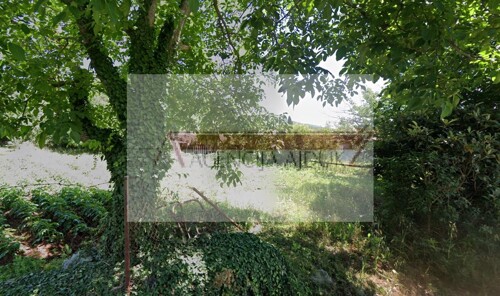 Thumbnail 6356474 - 3