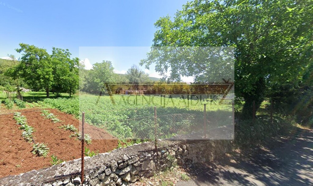 Image 6356474 - 1