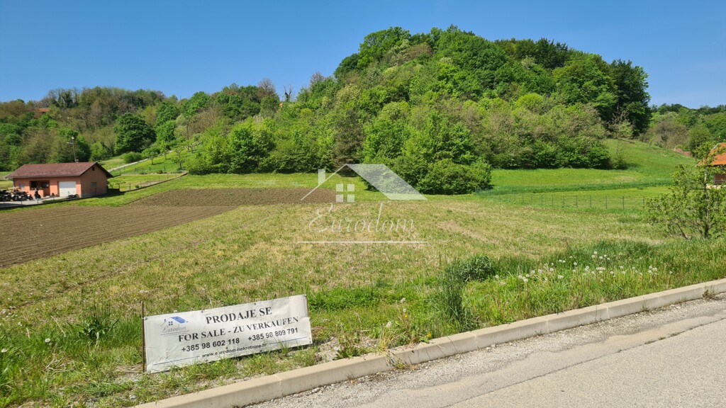 Image 6356693 - 1