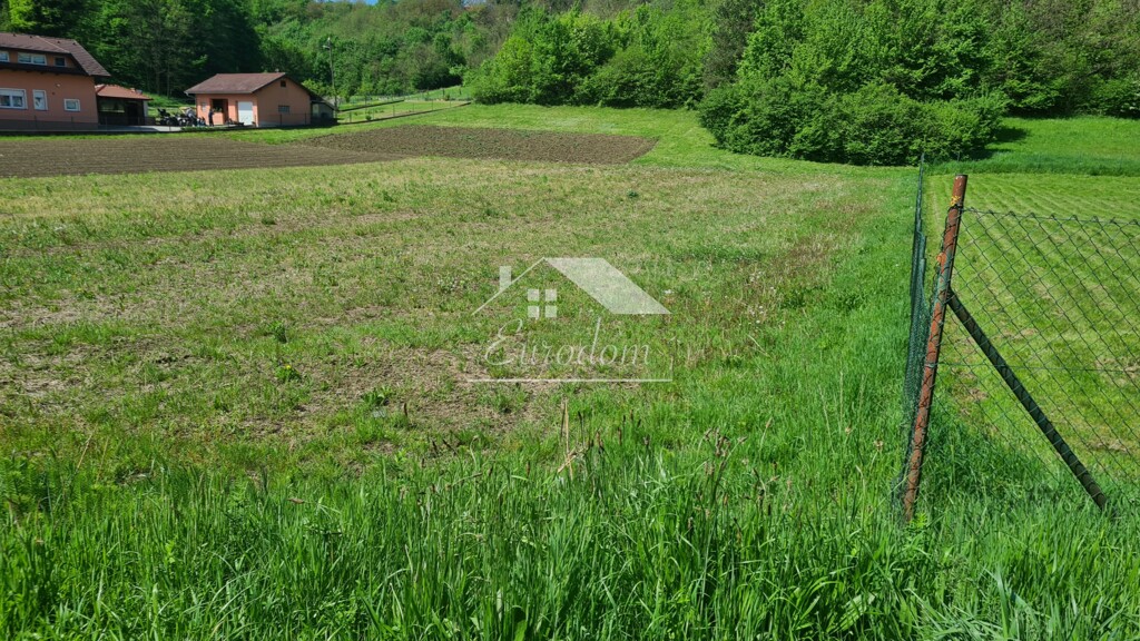 Image 6356693 - 2