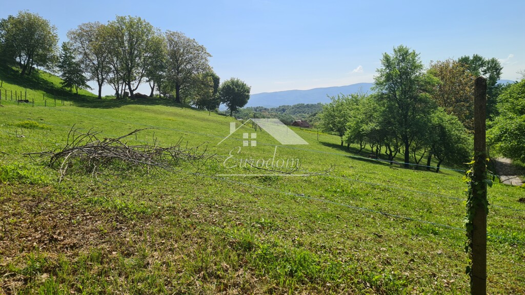 Image 6356717 - 3