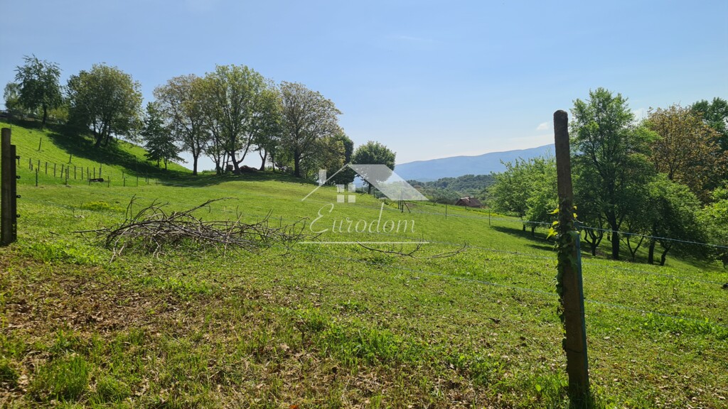 Image 6356717 - 7