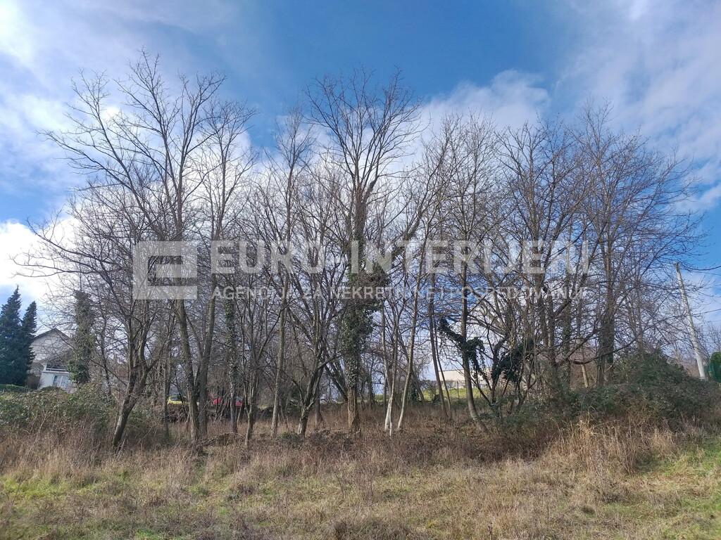 Image 6356723 - 4