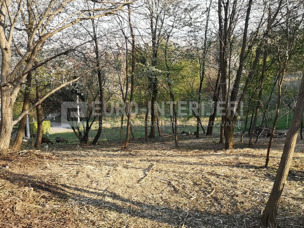 Image 6356723 - 5
