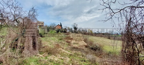 Thumbnail 6356731 - 1