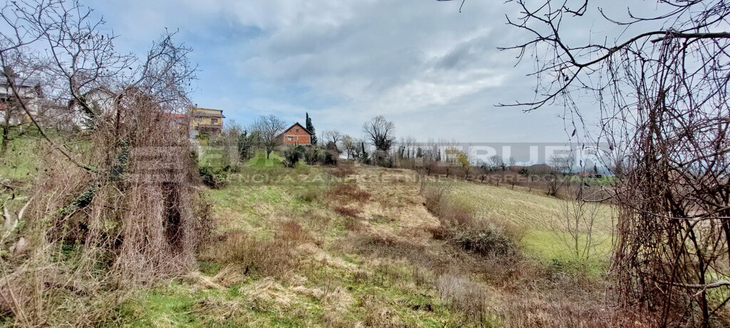 Image 6356731 - 1