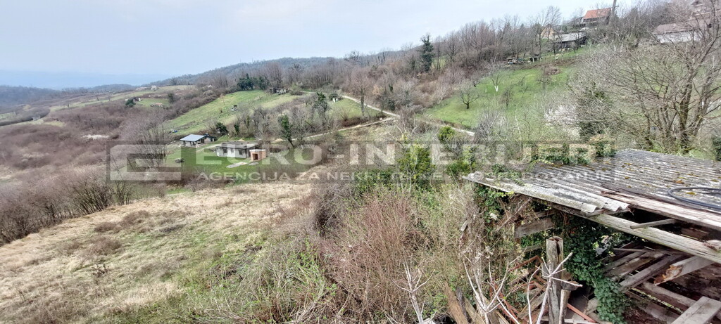 Image 6356731 - 4