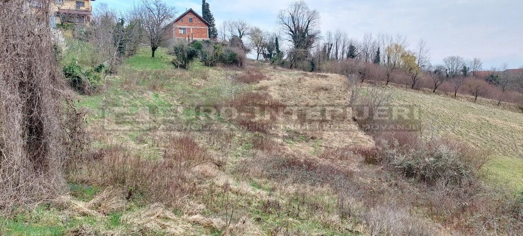 Image 6356731 - 2