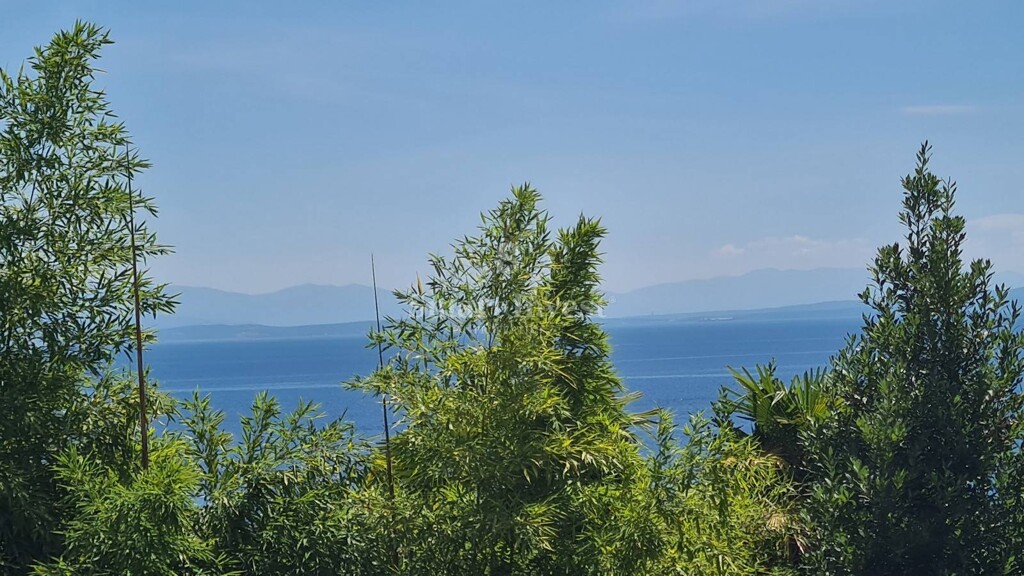 Image 6356831 - 6