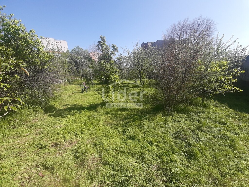 Image 6356923 - 15