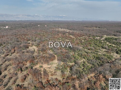 Thumbnail 6356924 - 3