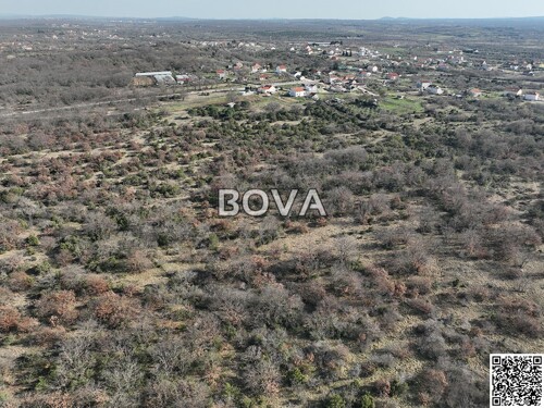 Thumbnail 6356924 - 5