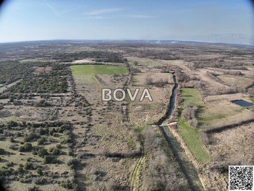 Thumbnail 6356925 - 4