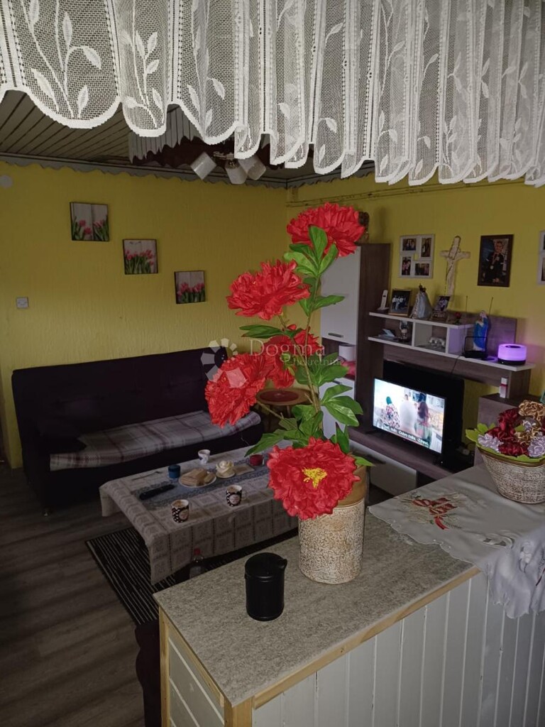Image 6356931 - 6