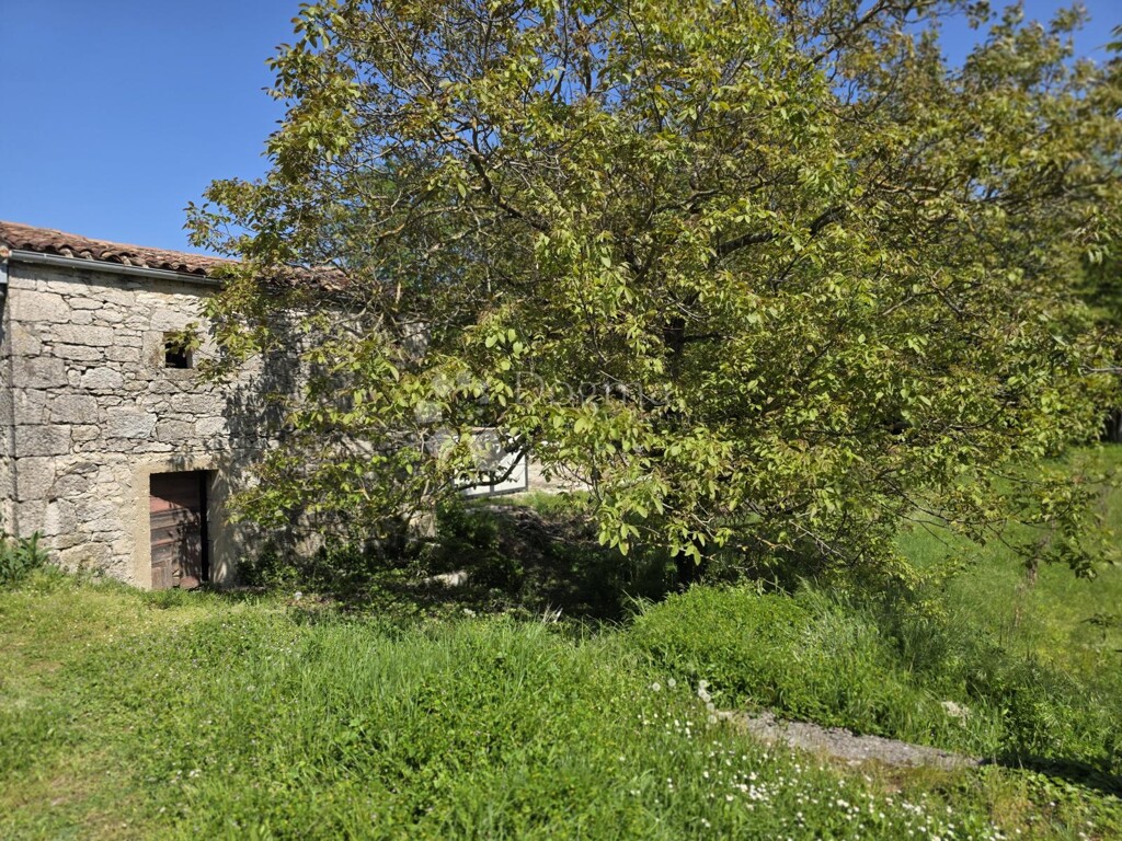 Image 6356932 - 5