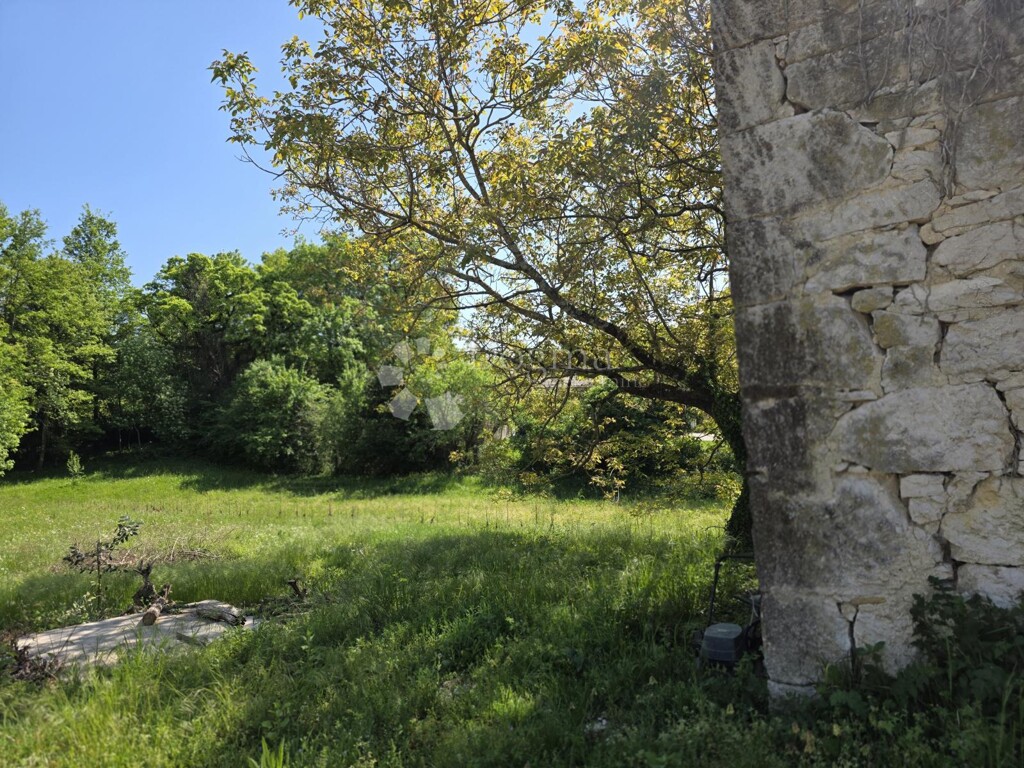 Image 6356932 - 2