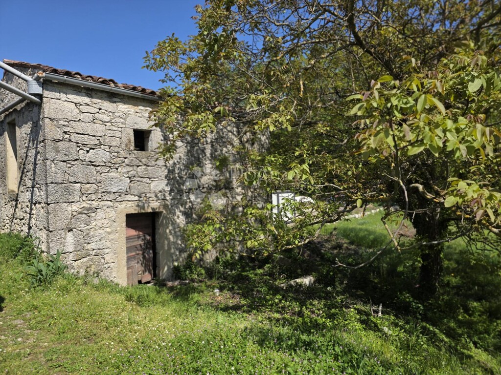 Image 6356932 - 1
