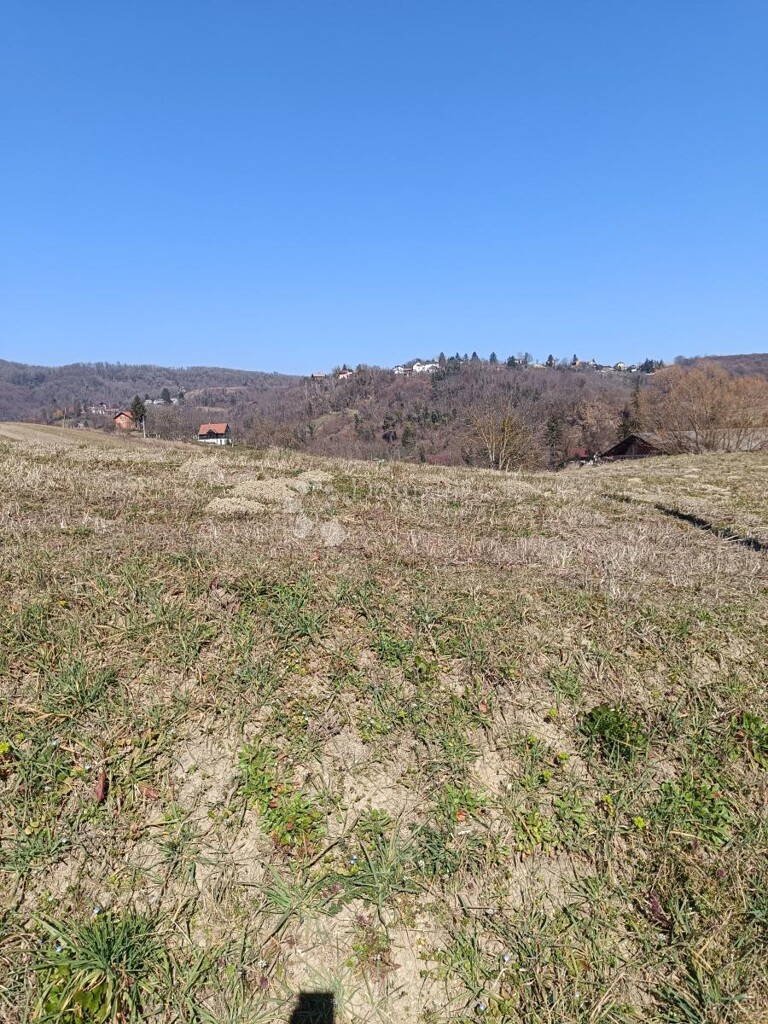 Image 6356938 - 2