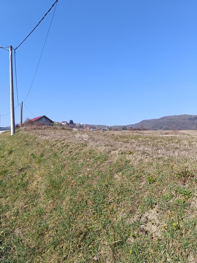 Image 6356938 - 3