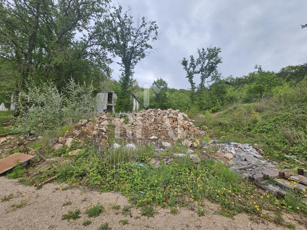 Image 6356988 - 7
